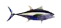FISHING CALENDAR