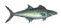 FISHING CALENDAR